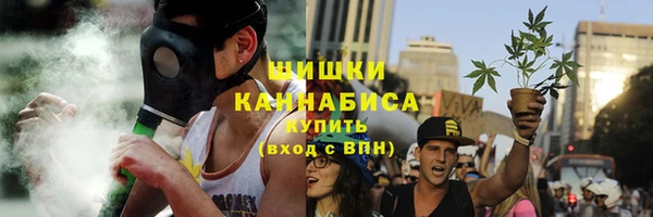 тгк Гусь-Хрустальный