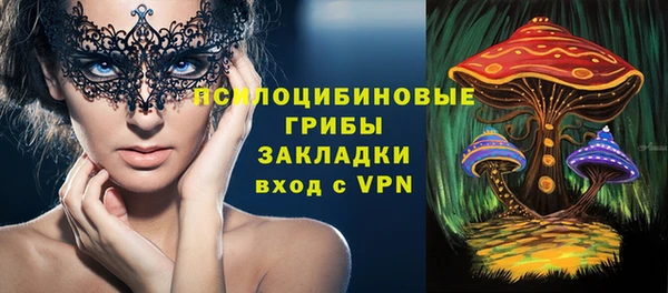 тгк Гусь-Хрустальный