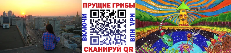 Псилоцибиновые грибы Psilocybe  Купить  Дмитров 